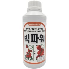 빅파워 500ml 영양촉진제 비대제